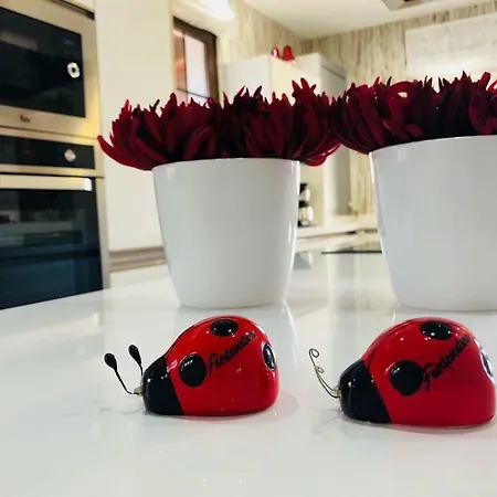 Дом отдыха Casa Palmito Тесехераге